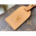 Louis Vuitton CarryAll PM Bag In Monogram Canvas M46203