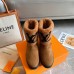 Louis Vuitton Snowdrop Flat Ankle Boots In Brown Suede with Shearling