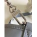 Louis Vuitton CarryAll Cargo PM Bag in Grey Lambskin M12579