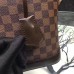 Louis Vuitton Alma PM Bag In Damier Ebene Canvas N53151 Louis Vuitton Alma PM Bag In Damier Ebene Canvas N53151