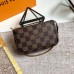 Louis Vuitton Mini Pochette Accessoires In Damier Ebene Canvas N58009
