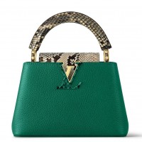 Louis Vuitton Capucines Mini Bag with Python Leather N80931