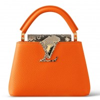 Louis Vuitton Capucines Mini Bag with Python Leather N81210