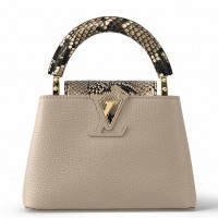 Louis Vuitton Capucines Mini Bag with Python Leather N81258