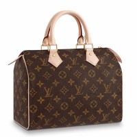 Louis Vuitton Speedy 25 Bag In Monogram Canvas M41109 Louis Vuitton Speedy 25 Bag In Monogram Canvas M41109